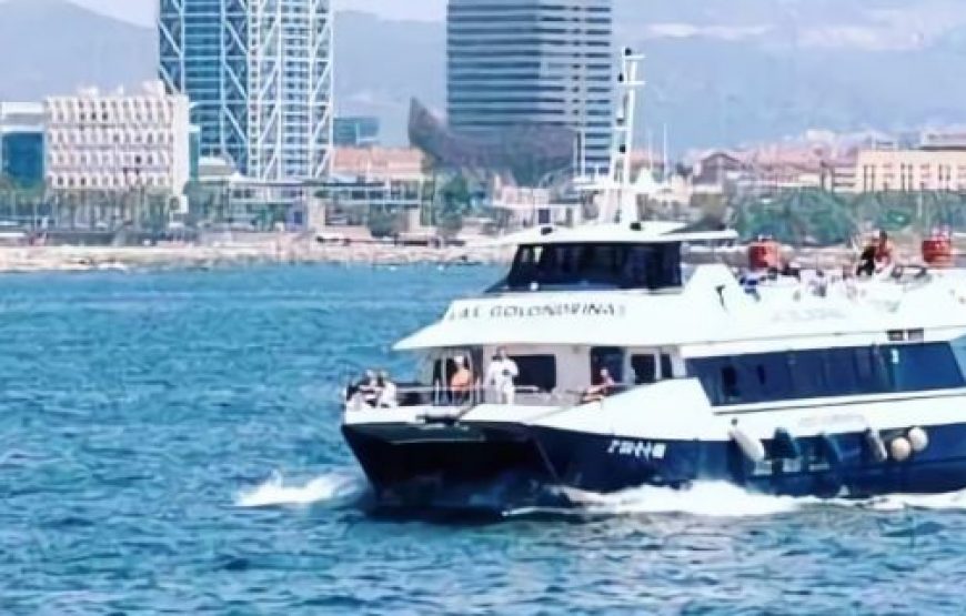 Barcelona Eco Catamaran Cruise