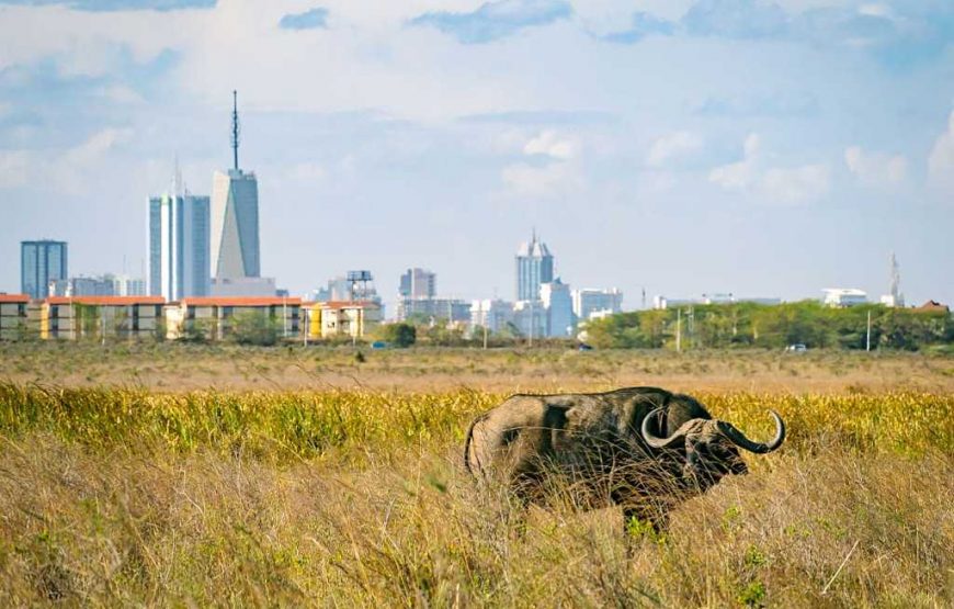 Nairobi City Tour