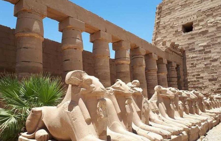 Half Day East Bank Tour to Luxor and Karnak Temples