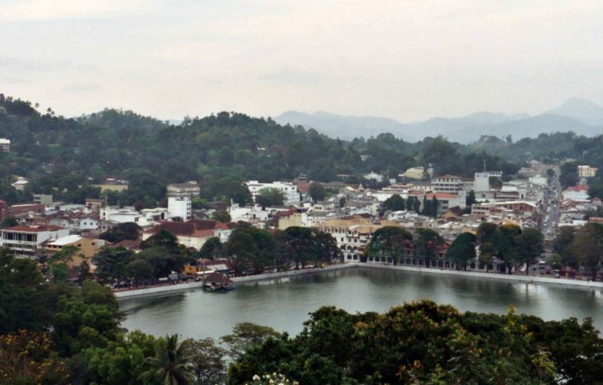 Kandy Day Tour From Colombo