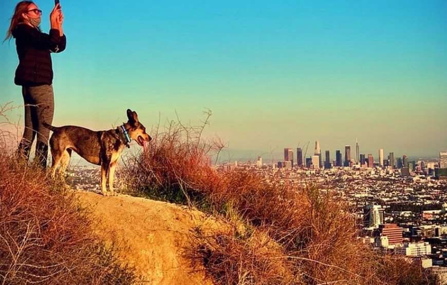 Hollywood Walking And Hiking Tour For Epic La Skyline Views