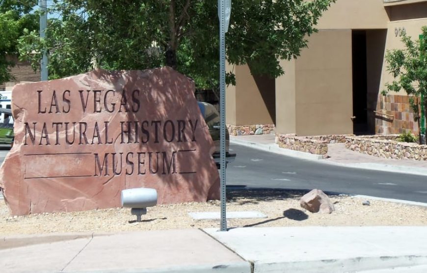 Las Vegas Natural History Museum Admission Ticket